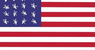USA New Flag