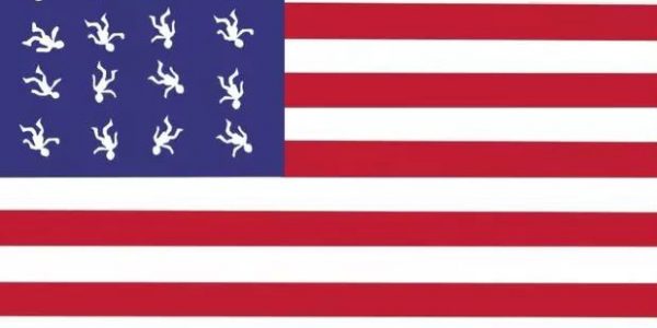USA New Flag