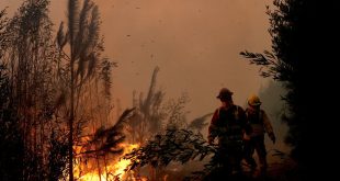 22 dead, hundreds injured in Chile wildfires that continue to spread