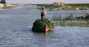 Iraq becomes first Middle Eastern country to join UN Water Convention