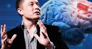 Musk’s brain implant firm gets approval for human trials